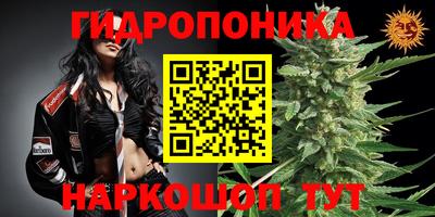гашик Бузулук