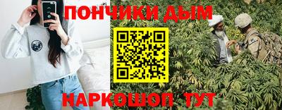 шишки Будённовск