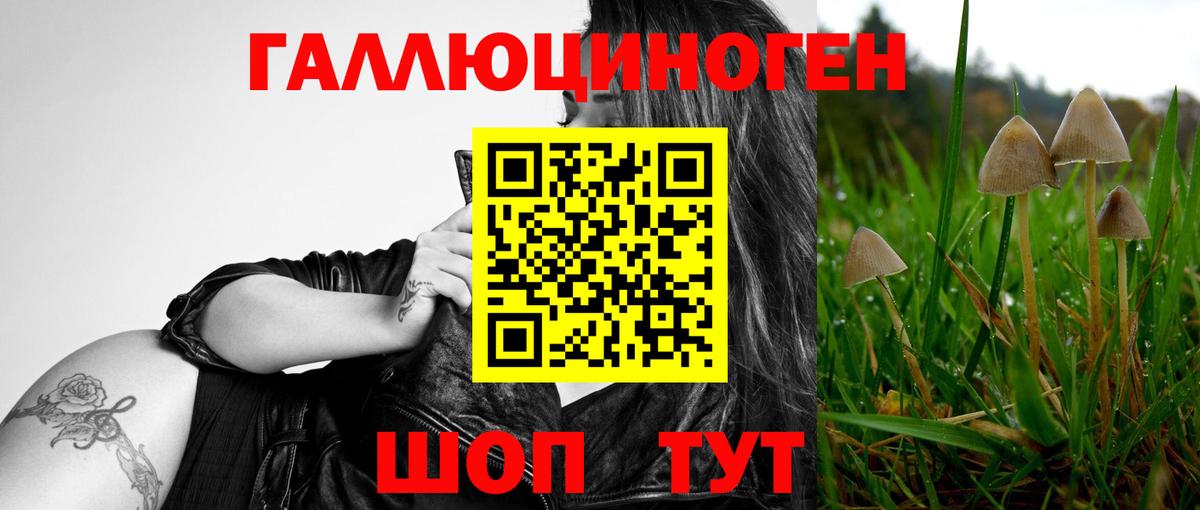Псилоцибиновые грибы MAGIC MUSHROOMS Тверь