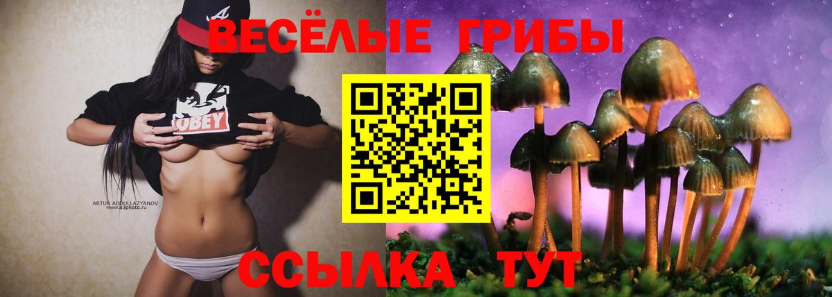 Тверь  Галлюциногенные грибы мухоморы  Вход с VPN 